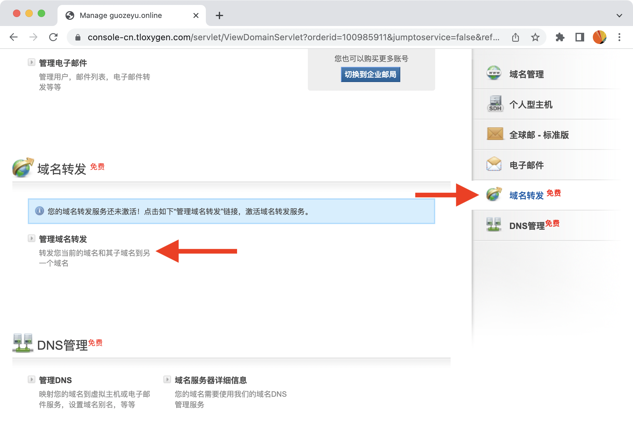 点击 “管理域名转发” 以激活域名转发
